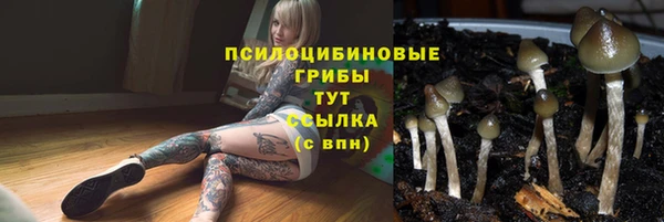 гашиш Лабытнанги