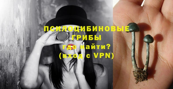 дживик Лагань
