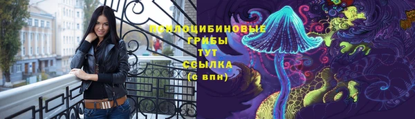 мдма Ладушкин